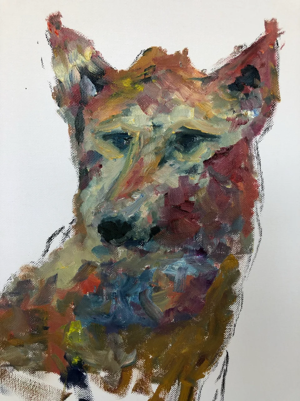 Een eerste studie van de wolf